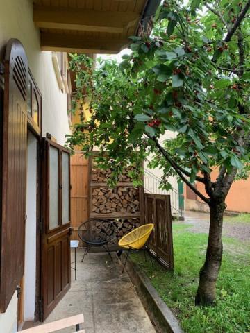 Charmant Appartement Sur Cour, Le Cerisier Bagnères-de-Bigorre Exterior foto