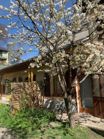 Charmant Appartement Sur Cour, Le Cerisier Bagnères-de-Bigorre Exterior foto